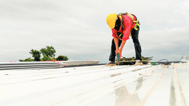 Best Slate Roofing  in Pine Valley, CA