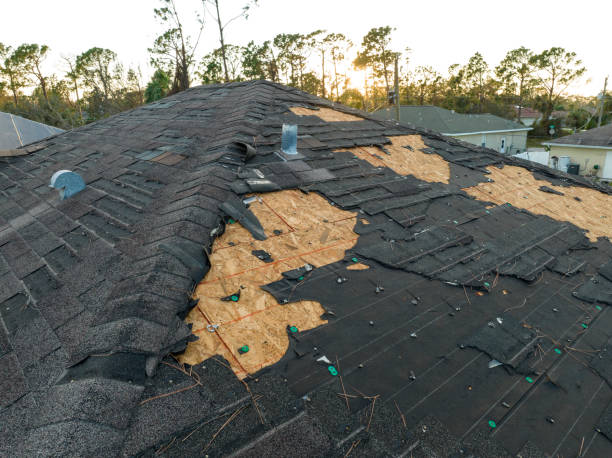 Best Roof Insulation Installation  in Pine Valley, CA